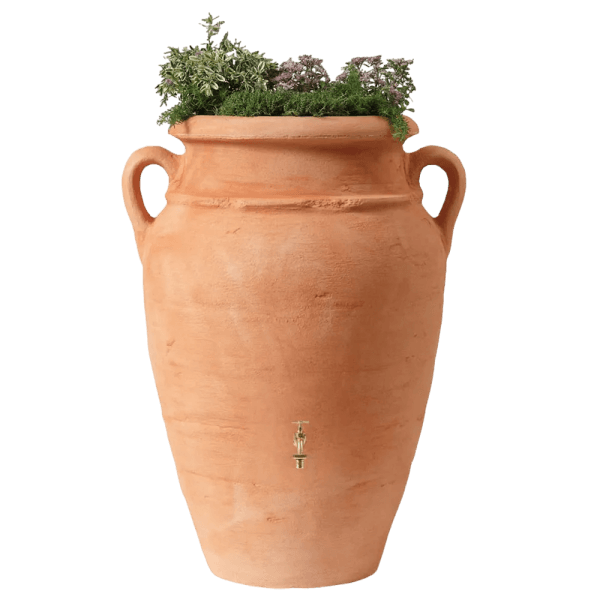 Antique amphora ton terra